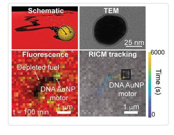 ACS Nano 2021 Nanomotors